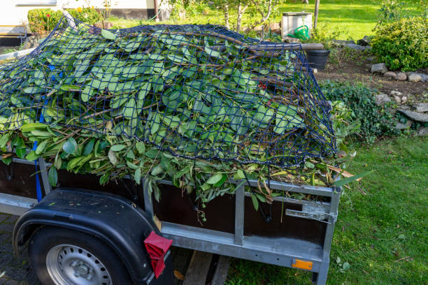 Best Hoarding Cleanup  in Northwest Harborcreek, PA